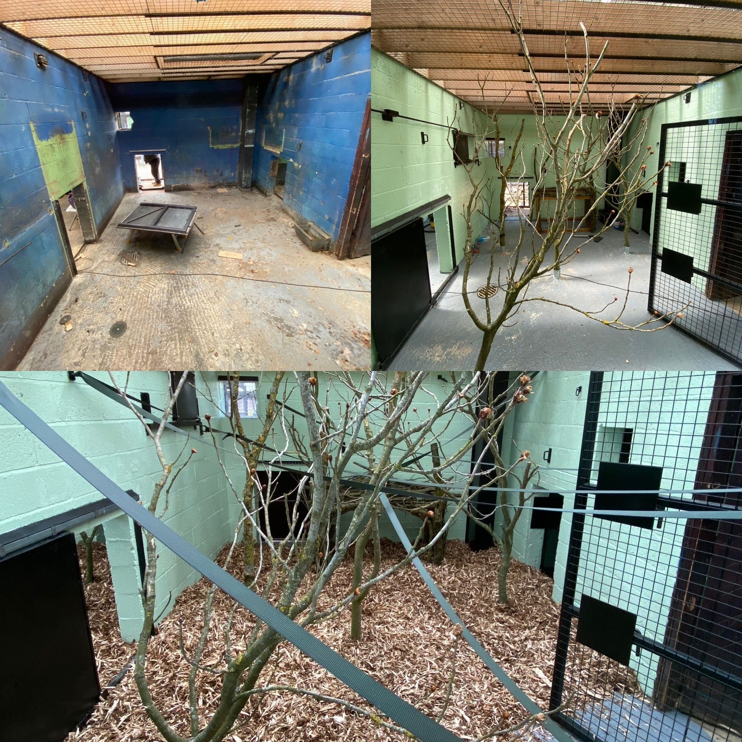 Kennel & Cattery Paint
