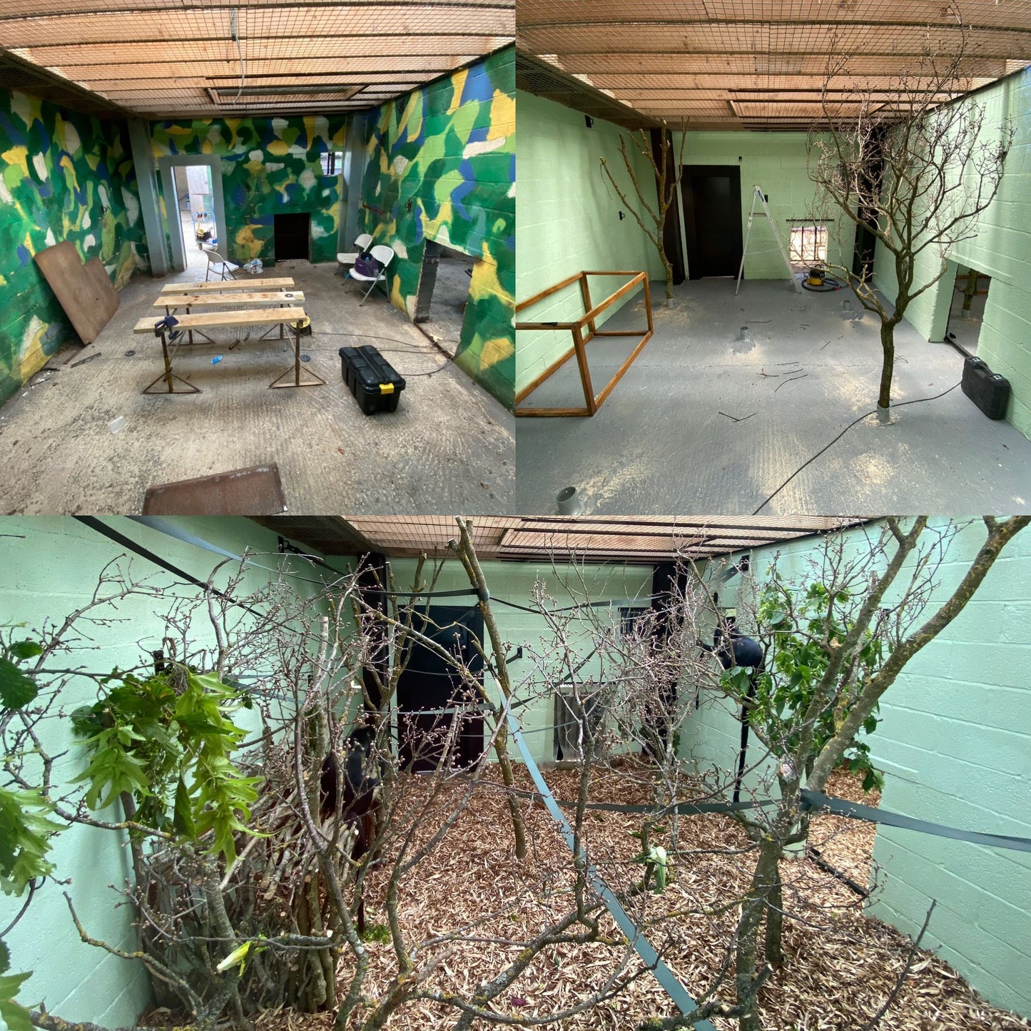 Kennel & Cattery Paint