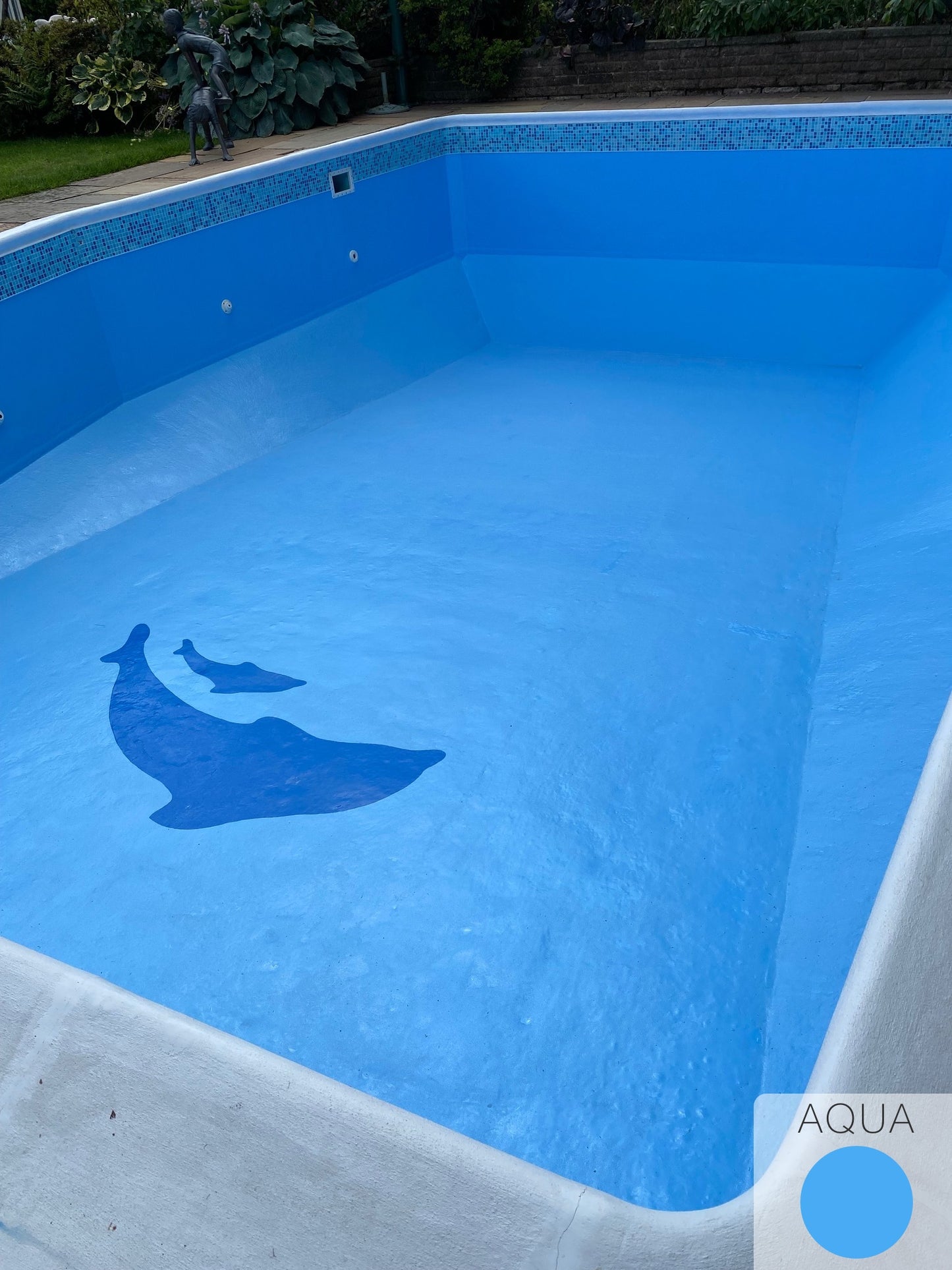 Swimming Pool Paint