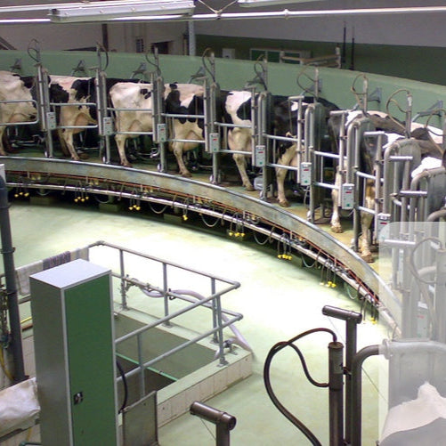 dairy coat ultra antibacterial