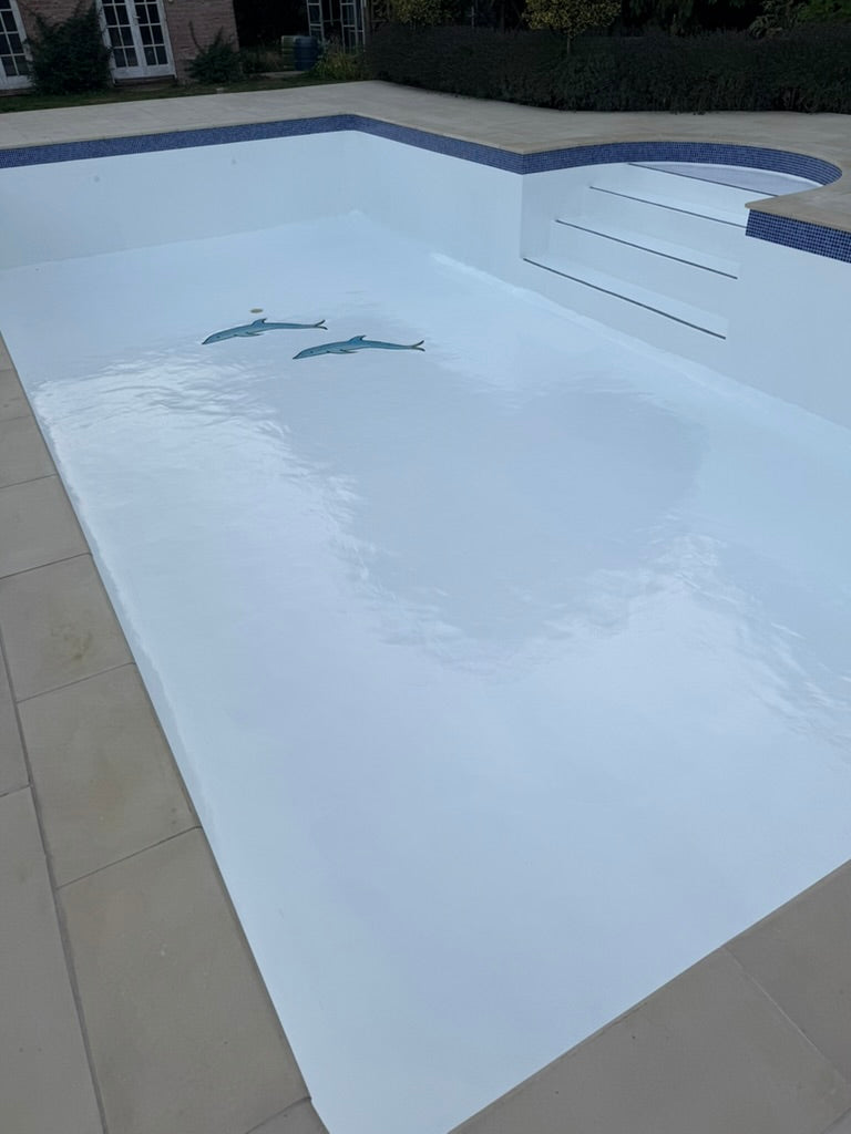 swimming pool painted white with a house and garden in the background
