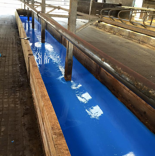 Feed Passage Epoxy Coating